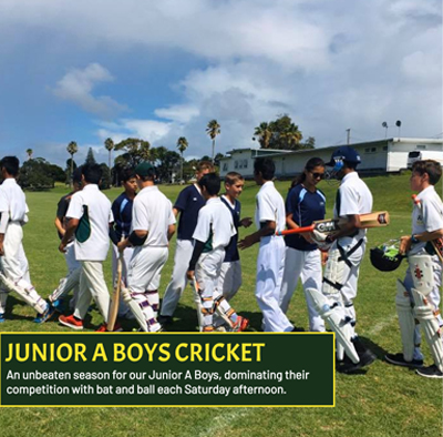 junior cricket